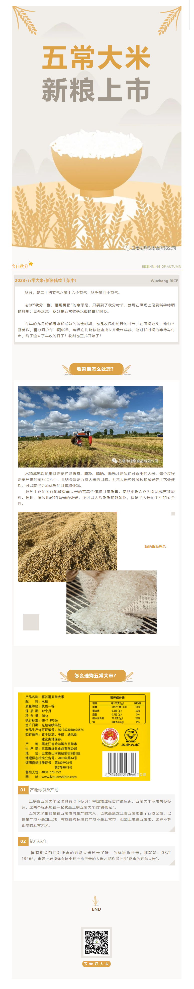秋分一到，晒场见稻——2023五常大米新粮上线中！.png